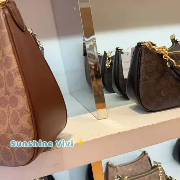 NWT Coach Teri Hobo Bag Signature Canvas/Gold/Tan/Brown CV940 - Picture 2 of 7